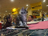 DSCF9647.jpg