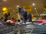 DSCF9650.jpg