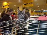 DSCF9651.jpg