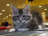DSCF9652.jpg