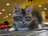 DSCF9653.jpg